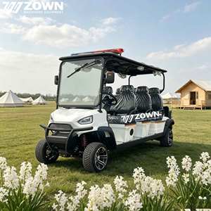 Voiturette de golf électrique fiable à quatre roues, bonne dissipation thermique, idéale pour les sites balnéaires - Product Image 1