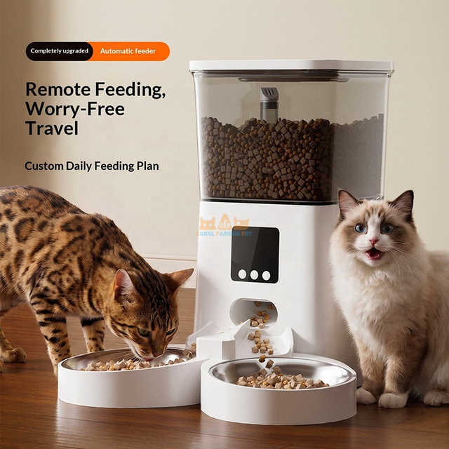Video Wifi App Control Dog Dispenser Auto Smart Remote Connected 6L Pet Food Bowl With Camera Automatic Cat Feeder