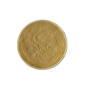 Estratto di <span class=keywords><strong>Corteccia</strong></span> di Pino Coreano Puro per la Salute, in Polvere 4:1 10:1 20:1 HLE10% Naturale di Alta Qualità, Fusto da 1kg MOQ - Product Image 1