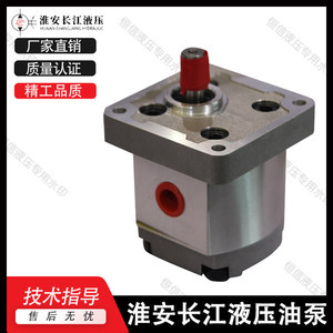Pompe à engrenages Changjiang CBS-D304, pompe à huile hydraulique de type rotatif en fonte, entraînement électrique - Product Image 2
