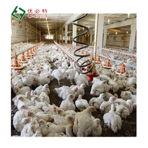 Hot Sale Automatic Multi-Series Broiler Complete Drinker/Feeder Shed Chicken Farming Equipment Poultry