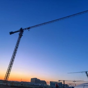 7020 מנוף מגדל לבניית ציוד חיוני - Product Image 6