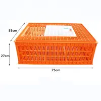 Cage de transport des poules, conteneur multicolore personnalisé, boîtes pour élevage de volaille, ange