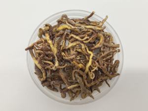 पालतू भोजन के लिए सूखे मिट्टी के कीड़े को फ्रीज करें - Product Image 4