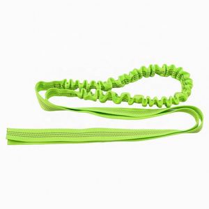 Sangle élastique en polyester colorée personnalisée 2024, bande élastique pour laisse de chien, laisse élastique en polyester - Product Image 2