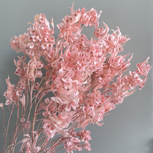 Fleurs séchées les plus vendues du Yunnan, fleurs préservées, fleurs de papillon séchées, freesia, <span class=keywords><strong>iris</strong></span> japonica pour la décoration de la maison et la fête des mères - Product Image 4