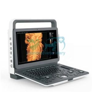 YSB-M30 VET Portable hifu (ultrasons focalisés à haute intensité) 3D 4D couleur échographie doppler dispositif de diagnostic échographie équine - Product Image 1