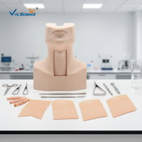 Modèle d'entraînement anatomique avancé pour la ponction cricotyrodienne, la trachéotomie et l'intubation – Modèle humain en PVC pour les écoles de sciences médicales