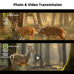 4G Solar <strong>Motion</strong> <strong>Activated</strong> Trail <strong>Camera</strong> 10400mAh 4MP Dual Lens IP66 Hunting <strong>Camera</strong> Dual PIR Night Vision Trail Cam 4G Game <strong>Camera</strong> - Product Image 4