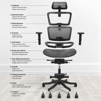Chaise de bureau ergonomique moderne en maille, dossier haut, pivotante, réglable en hauteur avec support lombaire pour le bureau à domicile