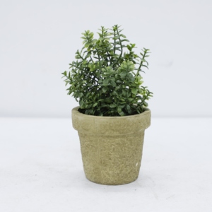 Planta Suculenta Artificial en Maceta, Bonsái de Jade Artificial en Maceta de Pulpa de Papel, Mini Decoración Ecológica para Bodas, Hogar, Oficina y Escritorio - Product Image 1