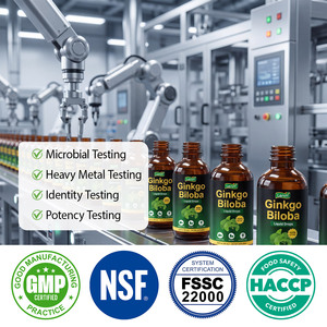 Lenm 60ml Vegan Alcoholvrije Natuurlijke Ginkgo <span class=keywords><strong>Biloba</strong></span> Extract Vloeibare Druppels Voedingssupplement voor Hersenen & Concentratie Ondersteuning - Product Image 3