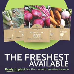 Certifié biologique 2025 saison variété Pack chou-fleur <span class=keywords><strong>navet</strong></span> chou frisé carottes plus résistant au froid pour intérieur extérieur plantation sans OGM - Product Image 3