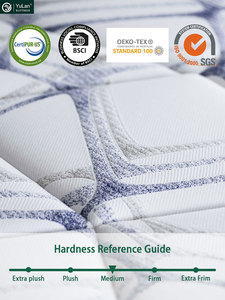 Bộ nhớ bọt miễn phí Mẫu hỗ trợ cá nhân mùa xuân khách sạn Nệm Phật Sơn massage giường khả năng phục hồi cao - Product Image 4