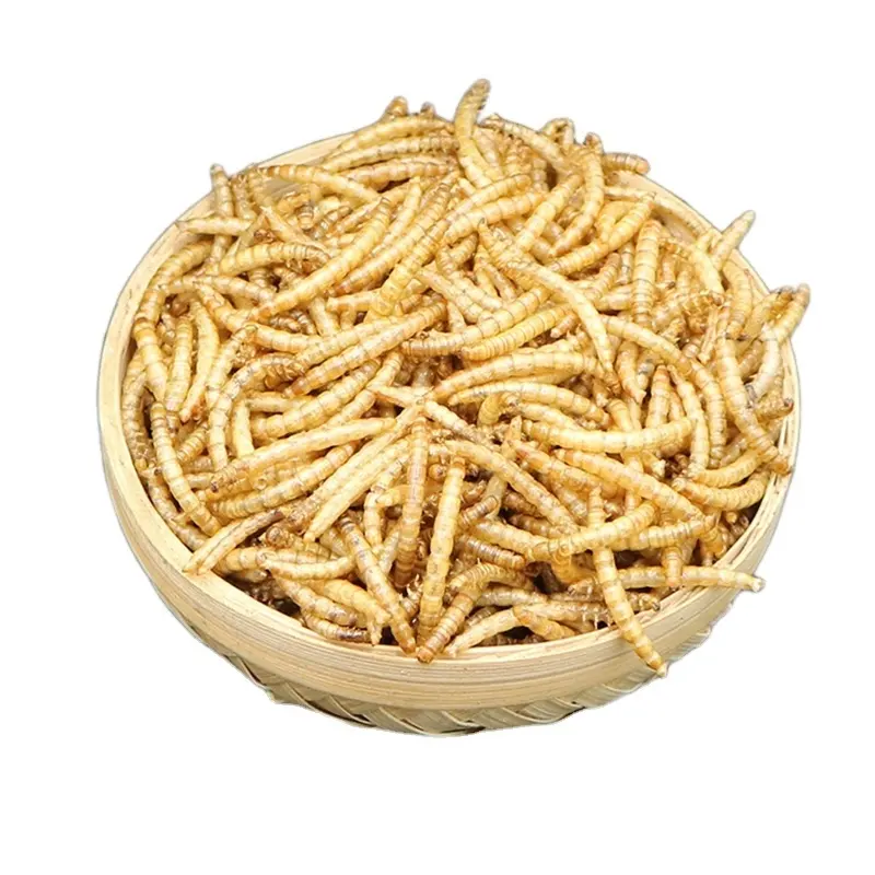 สูงแมลงโปรตีนแห้ง Mealworms สำหรับอาหารสัตว์อาหารสัตว์อาหารสัตว์เลี้ยง