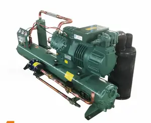 Bitzer lạnh lưu trữ lạnh nước làm mát đơn vị máy nén nhiệt độ thấp tích hợp bán khép kín làm mát không khí đơn vị