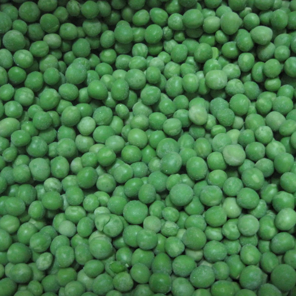 Import best price fresh iqf frozen green peas for production line sale