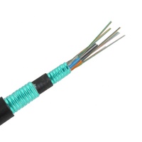 Harga Pabrik Kabel Serat Optik Anti-Rodent GYTS/GYTS53 SM G652D 2-288 Core Berlapis Baja Kekuatan Tarik Tinggi Logo Gratis