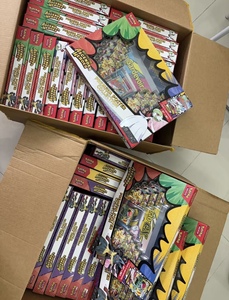 Collection de posters premium PTCG Pokémon 100 % authentiques sous blister : Mega Lucario et Mega Gardevoir – Cadeau de cartes à collectionner - Product Image 3