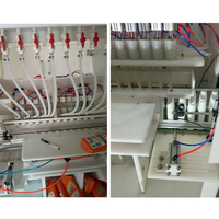 Ligne de remplissage liquide haute performance Bouteille liquide de chloroforme 1 Machine de remplissage de pesticides de 5 litres
