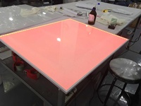 Panneau lumineux LED ultra-fin en acrylique certifié CE, IP65, à longue durée de vie, éclairage par le bord, panneau d'affichage