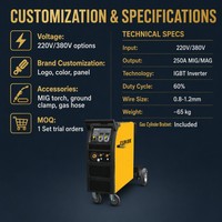 Nouvelle machine à souder MIG 250 220V portable avec bobine de fil de 0,8 mm, gaz mélangé CO2 pour acier au carbone, garantie de 2 ans