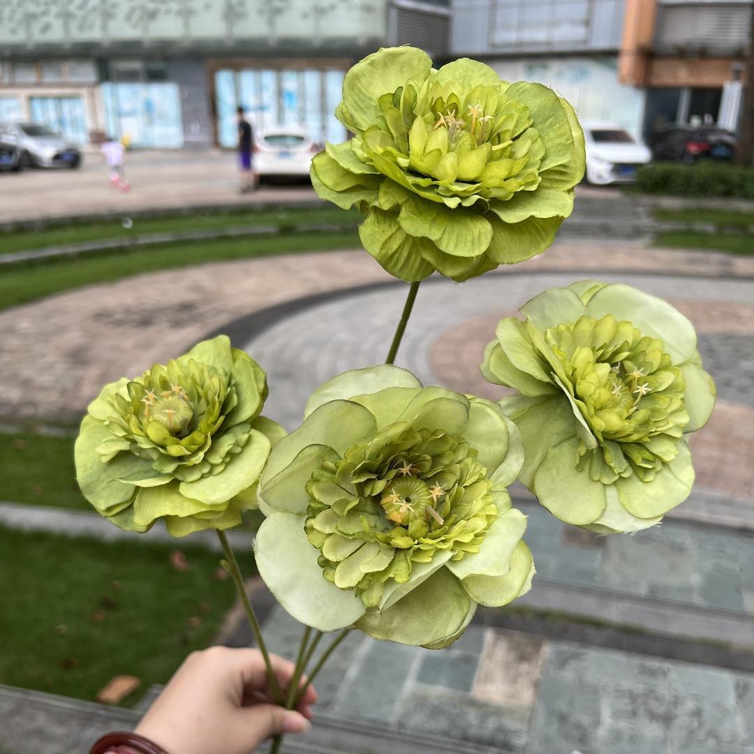 Special offer4Head sunshine Dew Lotus Green