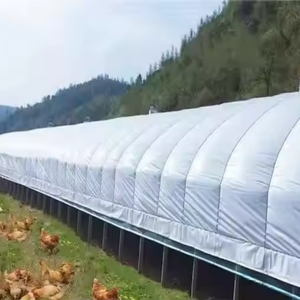 <span class=keywords><strong>Film</strong></span> plastique LDPE en gros, qualité alimentaire, imperméable, 80 à 300 microns, <span class=keywords><strong>film</strong></span> polyéthylène UV, rouleaux de <span class=keywords><strong>film</strong></span> plastique pour serre, ensilage, <span class=keywords><strong>silo</strong></span>, fosse - Product Image 1