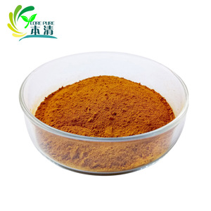 Extrait naturel de racine de <span class=keywords><strong>curcuma</strong></span> 95% curcuminoïdes, <span class=keywords><strong>poudre</strong></span> de qualité alimentaire selon les normes GB/USP/EP - Product Image 2
