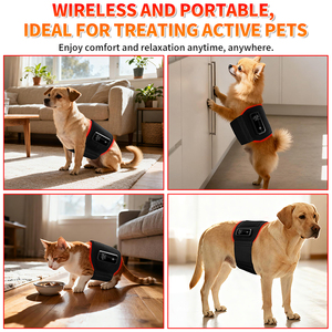 Dispositivo de Terapia de Luz Roja para Perros, Portátil, con Temporizador, Batería Integrada y Control Remoto para Tratamiento Médico en Gatos y Perros - Product Image 5