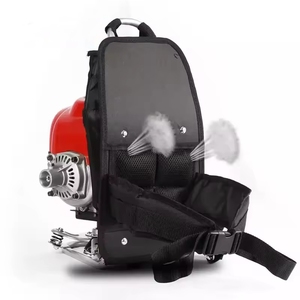 Desbrozadora <span class=keywords><strong>de</strong></span> motor <span class=keywords><strong>de</strong></span> 4 tiempos para agricultura multiusos, cortadora <span class=keywords><strong>de</strong></span> césped montada lateralmente, cortadora <span class=keywords><strong>de</strong></span> césped con motor <span class=keywords><strong>de</strong></span> <span class=keywords><strong>gasolina</strong></span>, mochila, cortacésped - Product Image 6