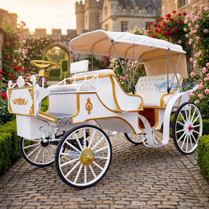 Calèche de tourisme dernier modèle, design unique de haute qualité, style platine pour mariage, prix d'usine - Product Image 1