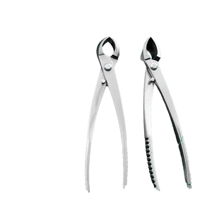 Hustech Tijeras de podar de acero inoxidable de alta calidad para bonsái, herramientas de jardín, de longitud larga, para mano derecha, sin recubrimiento - Product Image 2