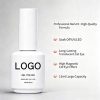 Vernis à ongles gel magnétique œil de chat personnalisé 36 couleurs, nouvelle collection de vernis gel œil de chat, ensemble de vernis gel UV œil de chat sans TPO ni HEMA