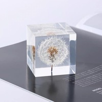 Rose rouge véritable préservée dans un cube de résine, fleur séchée éternelle, presse-papiers en acrylique, décoration de bureau pour la Saint-Valentin, cadeau