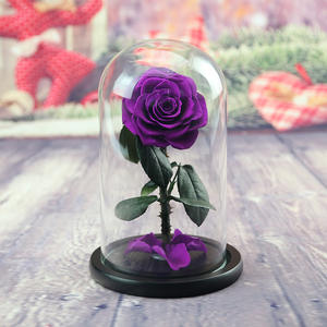 Rose éternelle en gros, cadeau de la Saint-Valentin, rose rouge conservée dans un dôme en verre, cadeau de rose éternelle réelle, tige de rose éternelle - Product Image 5
