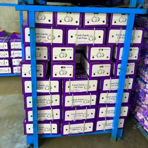 2025 Trung Quốc 5-8Cm 8-11Cm Tươi Hành Tây Trung Quốc Xuất Khẩu Hành Tây Sản Phẩm 10Kg 25Kg 50Kg Lưới Túi Hành Tây Để Bán - Product Image 5