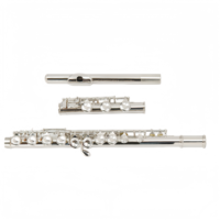 B Foot 17 Hole Flute C Key Closed Hole Nickel Plated Cupronickel Material Body C Tone Flute White Copper Woodwind Instrument