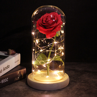 Produits de dropshipping : Cadeau Saint-Valentin 2026 – Rose éternelle lumineuse à LED, décoration florale, agent de dropshipping