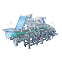 Système de remplissage automatique à vibration LWT Digital PLC pour boissons, à économie d'énergie, avec convoyeur à fonctionnement continu
