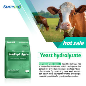 Yüksek kaliteli hayvan yemi <span class=keywords><strong>Protein</strong></span> tozu hidrolisat maya proteini - Product Image 2