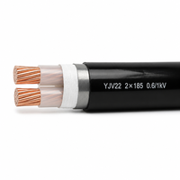 Câble d'alimentation blindé en cuivre à grande section YJV22 0.6/1kV 2 conducteurs 185mm² 300mm² isolé XLPE pour courant élevé 2*185