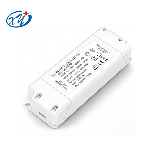 Power Supply Class 2 ETL CE SAA Certified LED Lighting 60 Watt Universal 12V 24V DC LED Driver