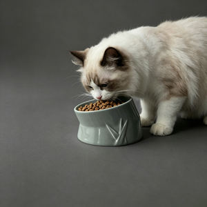 Modern <b>Ceramic</b> Pet Bowl Green Non-Slip Design for <b>Dogs</b> Indoor Use - Product Image 3