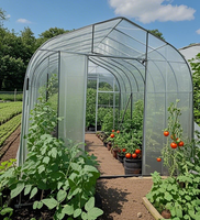 Kit de mini-serre portable 4x3x2,7m à travée unique en PE et acier galvanisé, écologique, facilement assemblable, pour culture hydroponique, stable