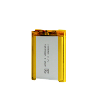 LN 104050 2500mAh 3.7V Baterai Lithium Polymer Isi Ulang Li-ion/Li-po dengan Katoda NCM 300 Siklus untuk Peralatan Listrik