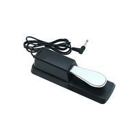 Wholesale Beisite Electronic Piano Organ MIDI Keyboard Musical Instrument Single Pedal Sustain Pedal