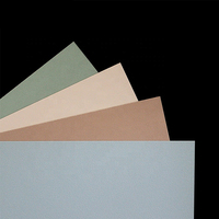 Lembaran PVC Kaku Anti-Statis Tahan Lembab Warna Putih dan Warna-Warni dengan Finishing Matt Sand untuk Dekorasi dan Perlindungan Dinding Rumah Sakit