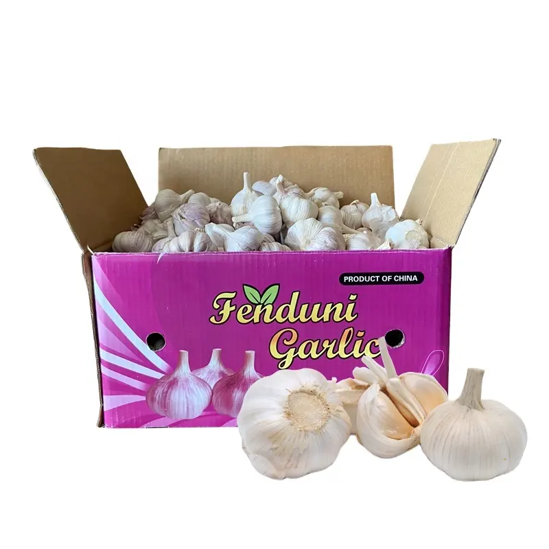 Jining Garlic Export Company in Shandong/China 2024 New Crop Fresh Normal White Garlic Pure White Garlic Supplier