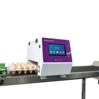 Tij Eierprinter Thermisch Platform Met Zes Koppen Online Automatische Ei-Inkjetprinter Datumlogo Ei-Inkjetprinter